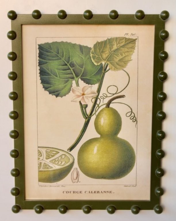 Fruit Picture Green Bobble Frame